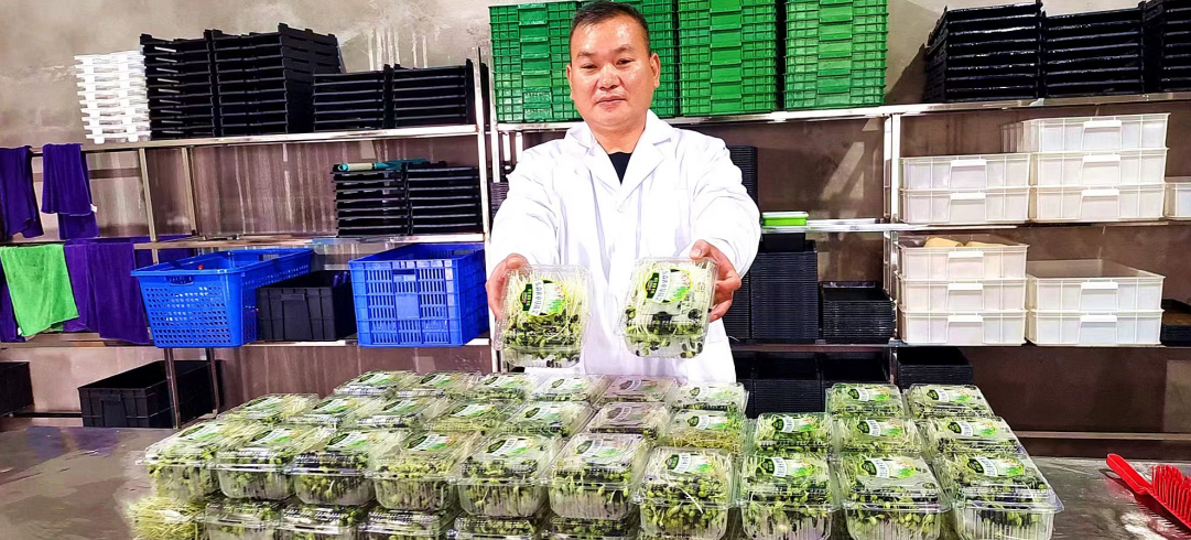 纳溪区新乐镇：乡贤回乡产业兴