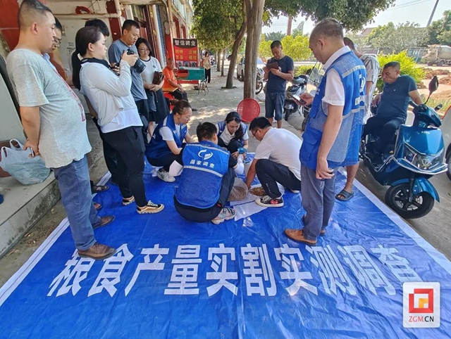 刷新记录！富顺县的高粱亩产达1190斤！